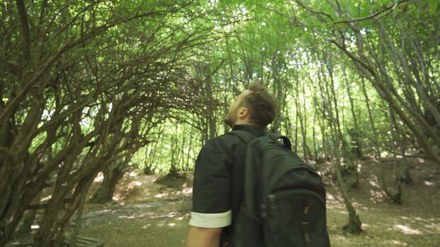 Person enjoying a relaxed outdoor walk through a green landscape with trees and open sky